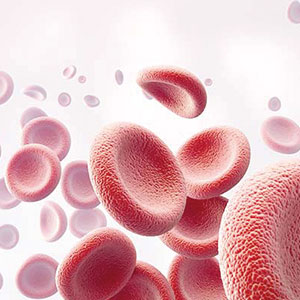 Die Transfusion von Blut und Blutbestandteilen unterstützt die Krebstherapie am Zentrum für ambulante Onkologie, Tübingen.